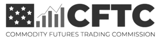 Regulatory financial license certificate authorizing Grey Vaultholm operations